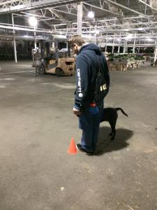 1454671_10100538831444612_6648352765556314877_n