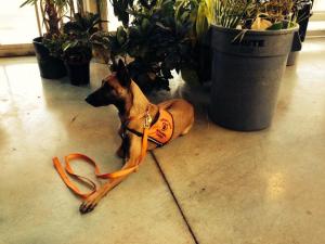 14875_10100356063917202_1032872957_n