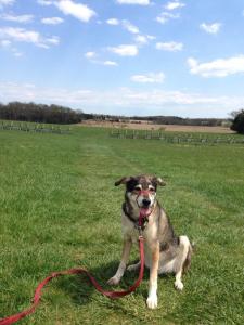 1901356_10100400568369922_2853430523734926377_n