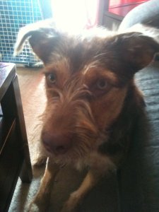 206002_685723467862_3752777_n