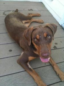 296344_971073234642_1764986834_n