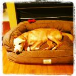 318227_10100151242141682_776076860_n