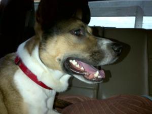 396551_971042087062_1827422805_n