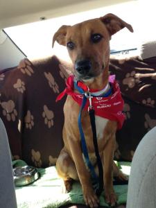 420953_978821986082_1226236900_n