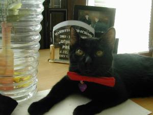 422712_971073199712_1971757994_n