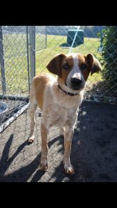 541226_992642514632_216738532_n