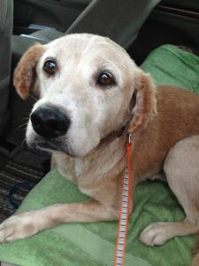 545739_984640675382_1192012172_n