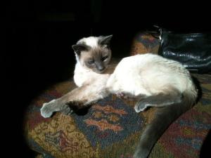 548065_971071772572_753440947_n