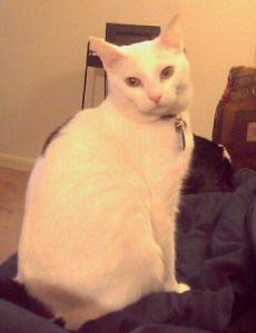 551715_971073304502_576332706_n